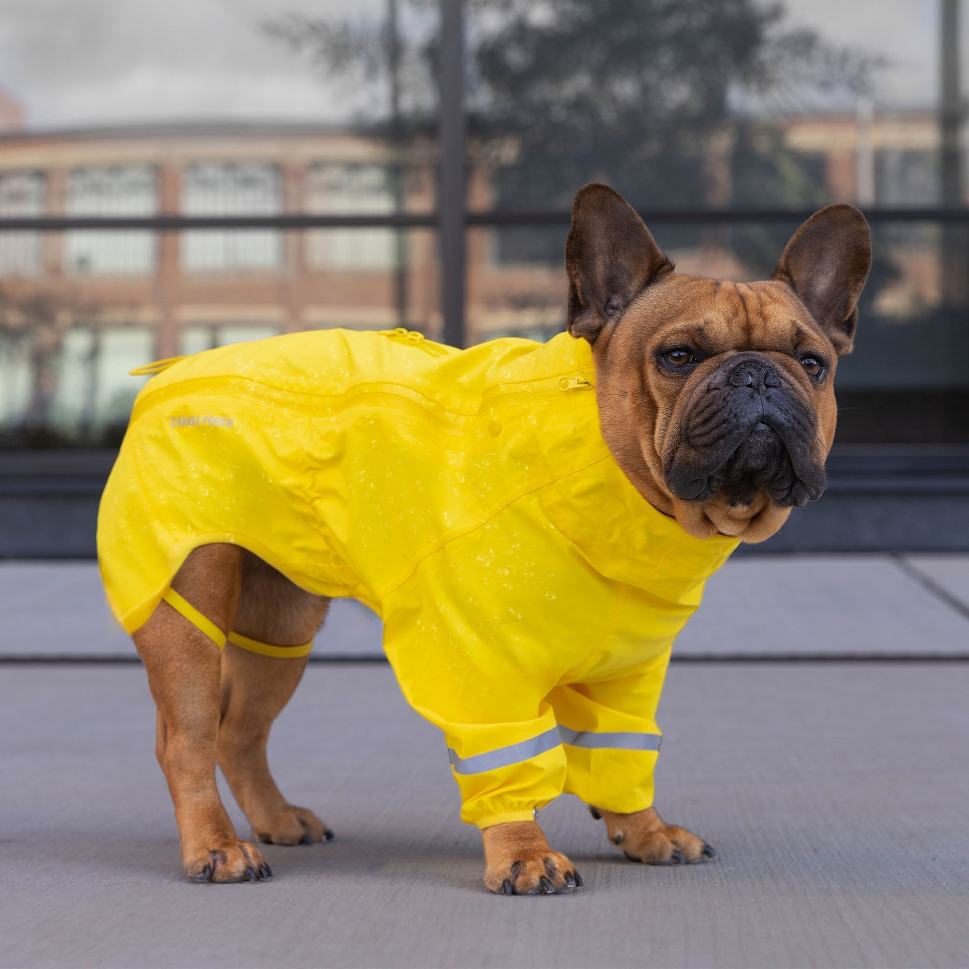 Waterproof Raincoat W6