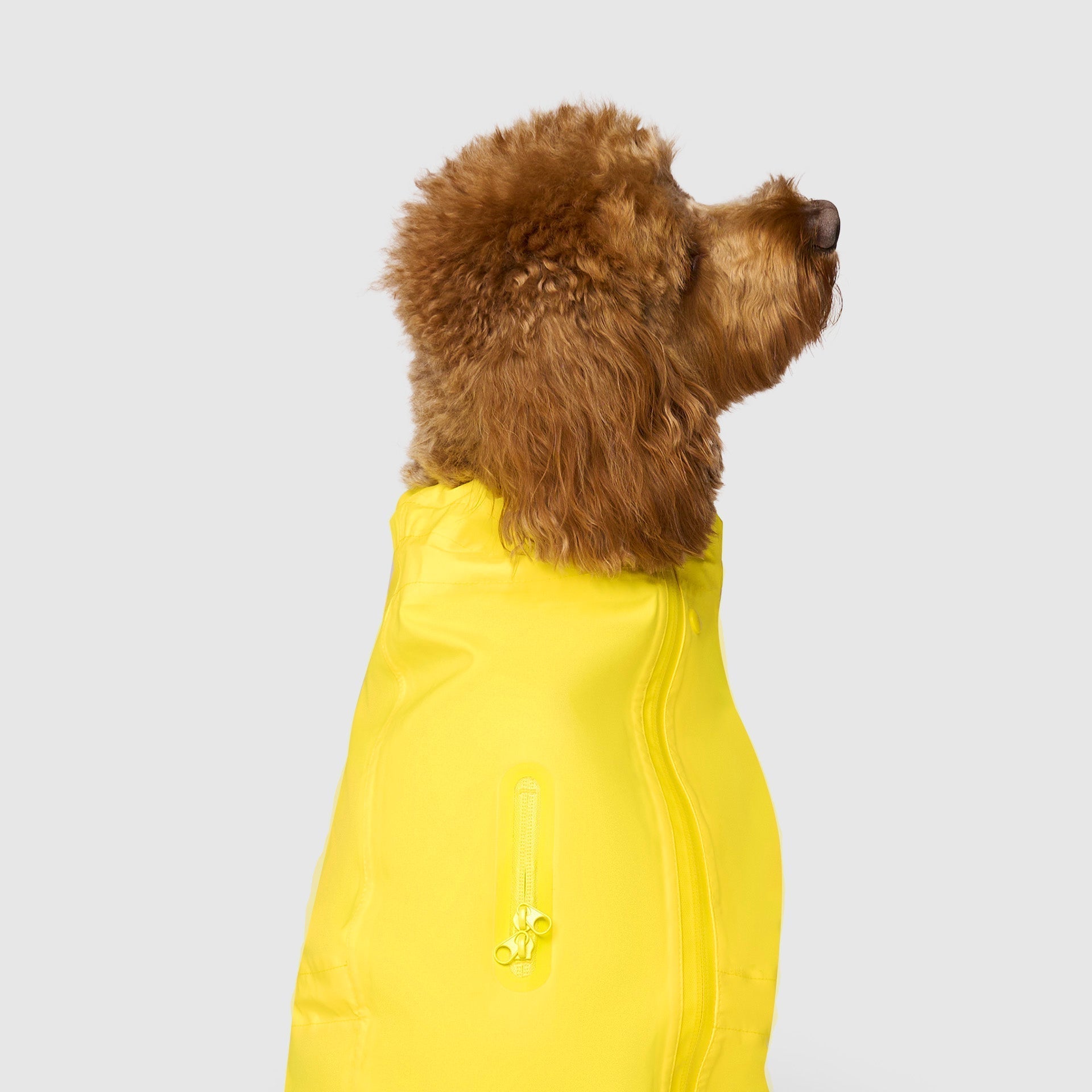 Waterproof Raincoat W6