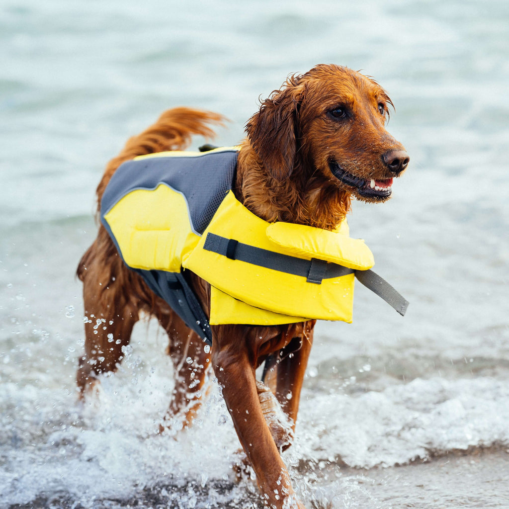 Wave Rider Life Jacket J8