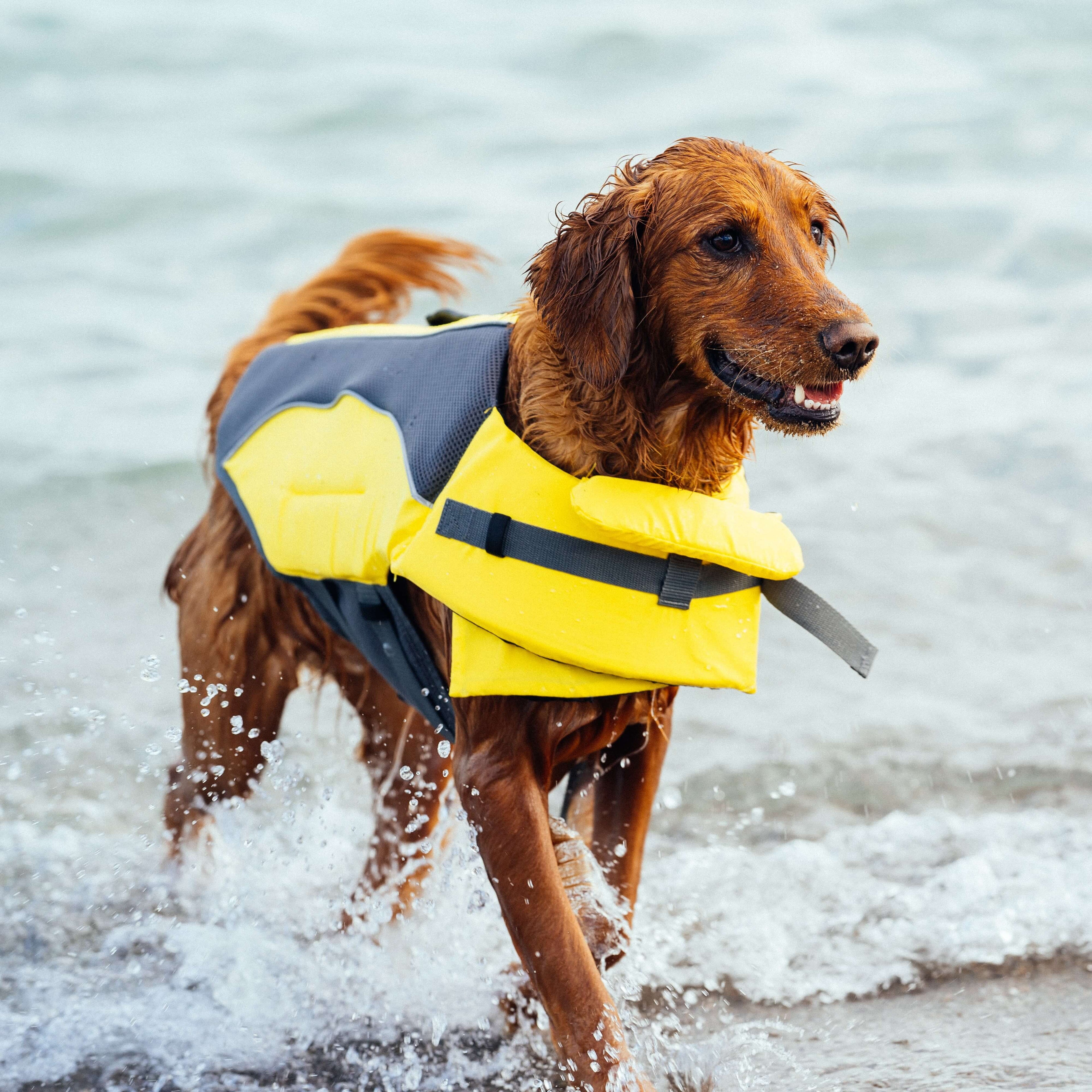 Wave Rider Life Jacket J8