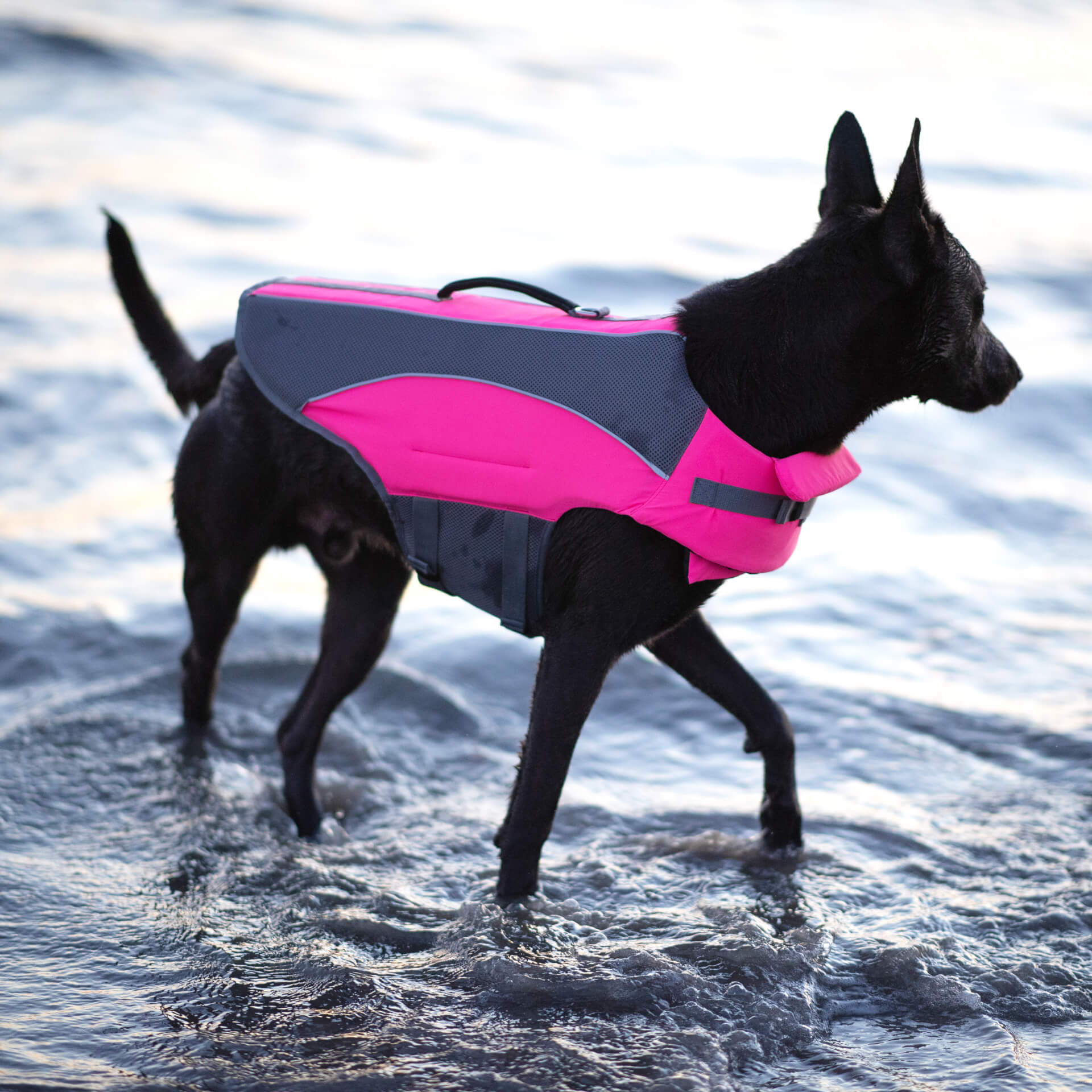 Wave Rider Life Jacket J8