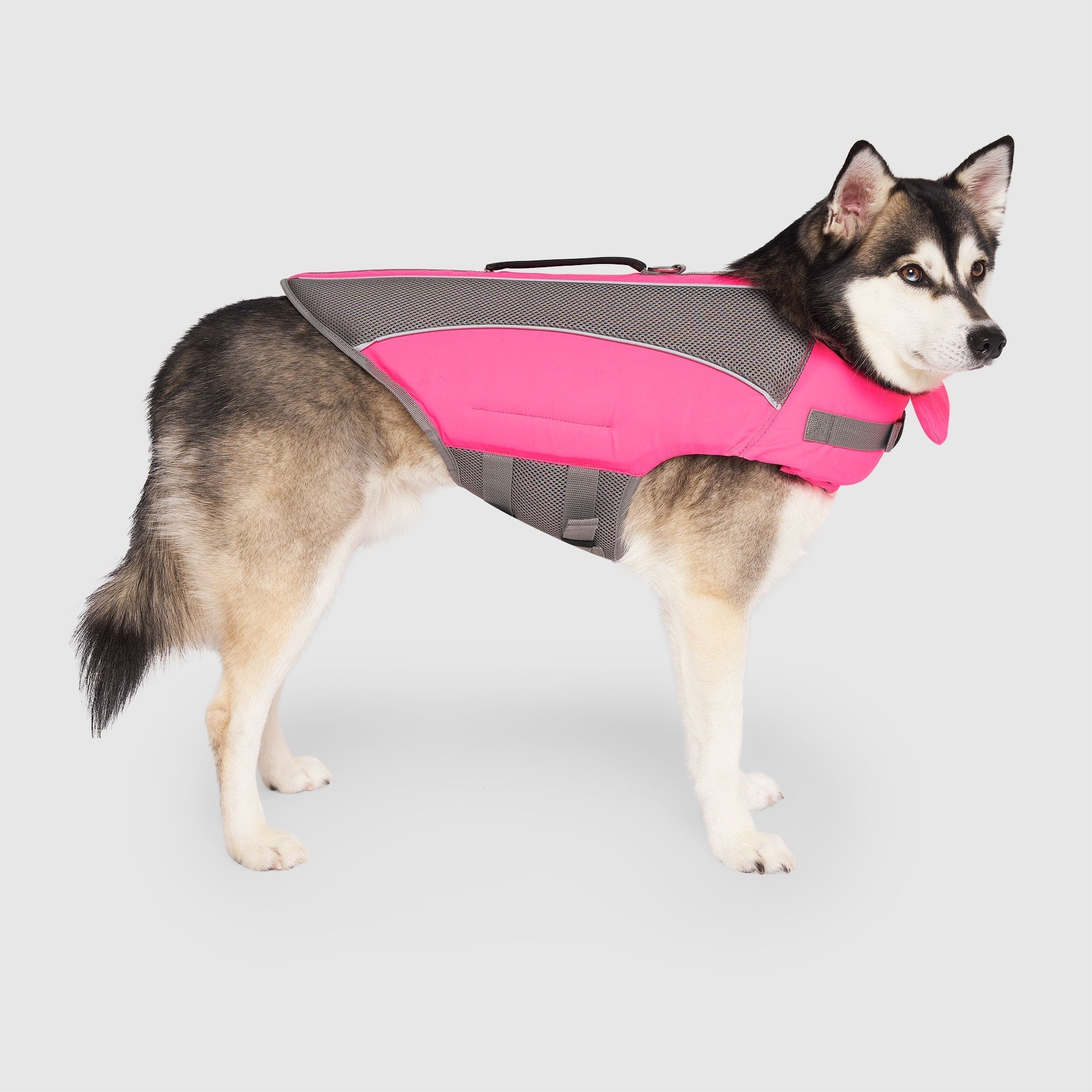 Wave Rider Life Jacket J8