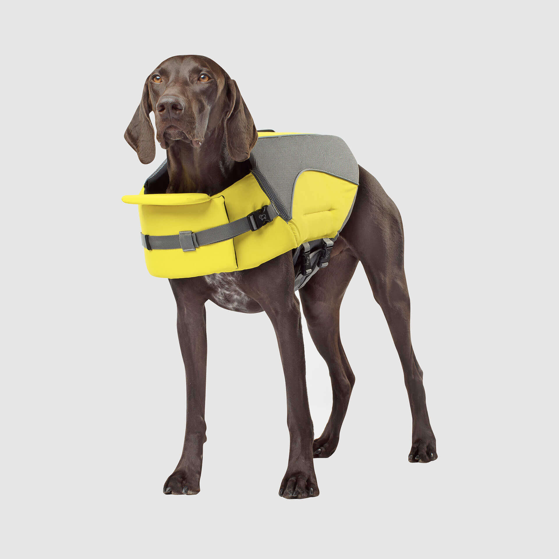 Wave Rider Life Jacket J8