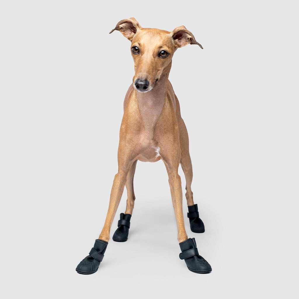 Unlined Wellies T9
