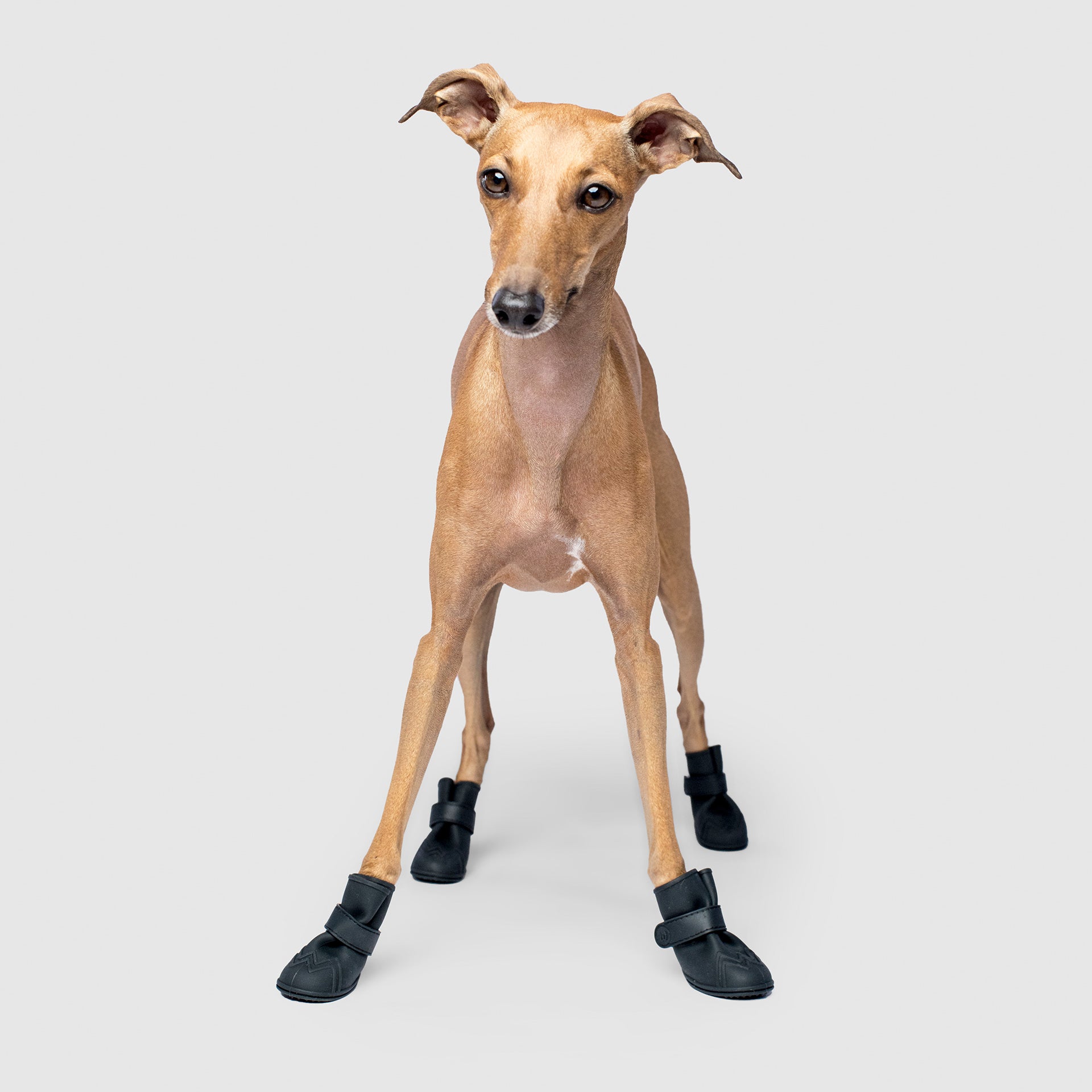 Unlined Wellies T9