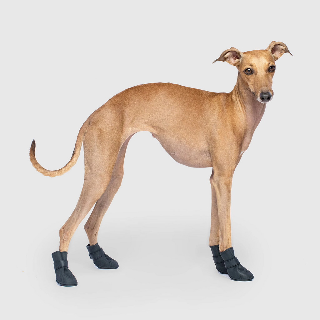 Unlined Wellies T9