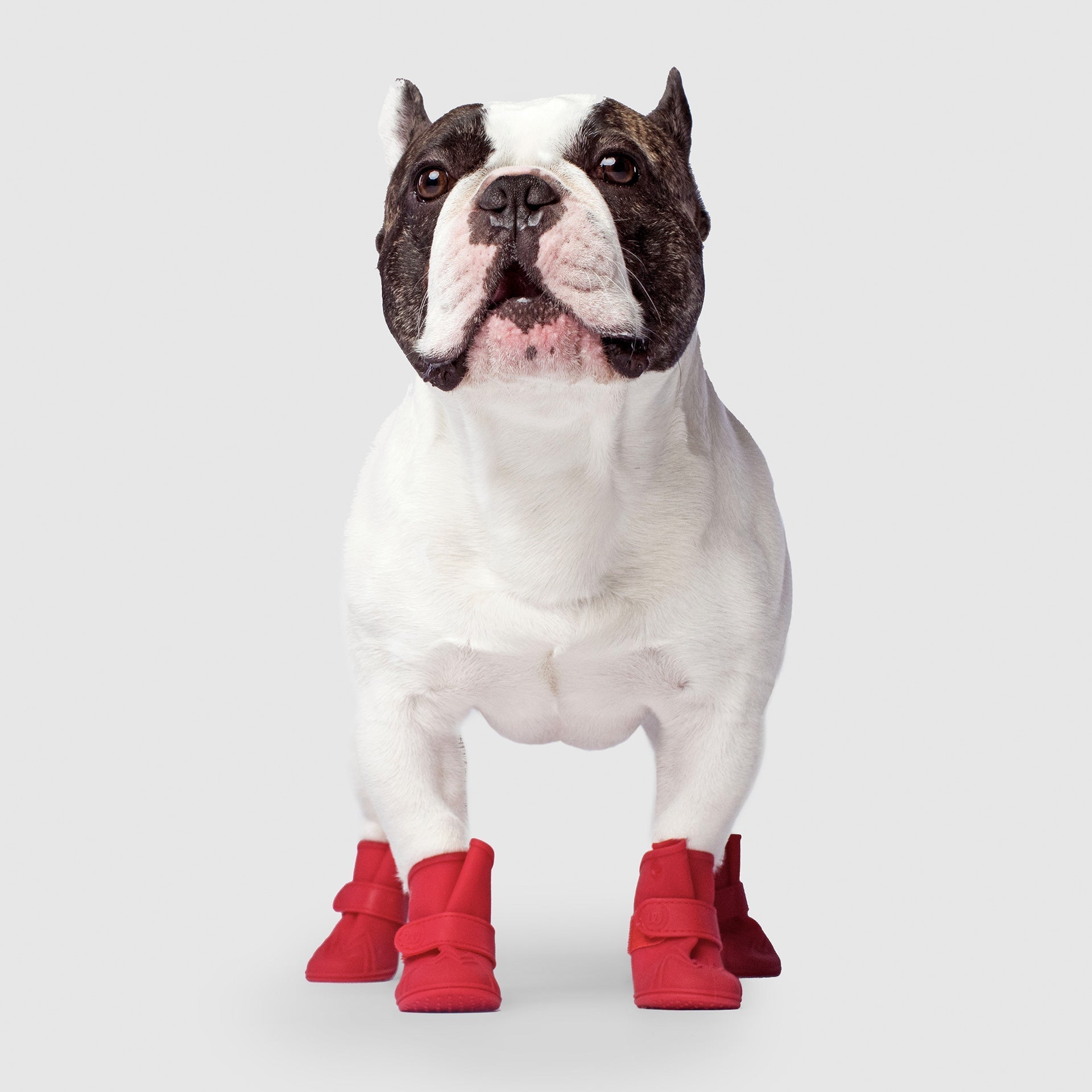 Unlined Wellies T9