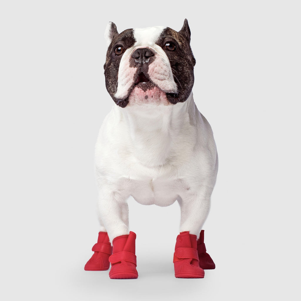 Unlined Wellies T9