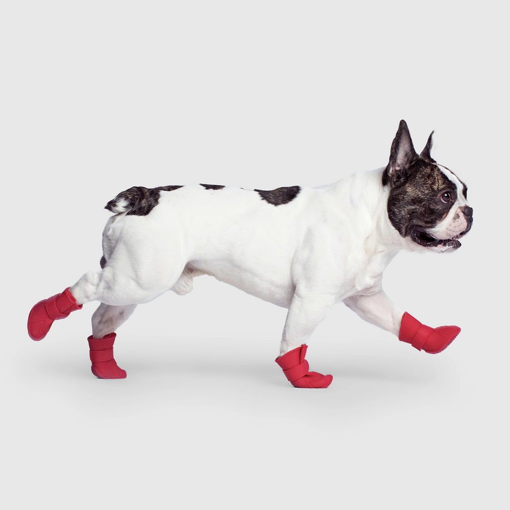 Unlined Wellies T9